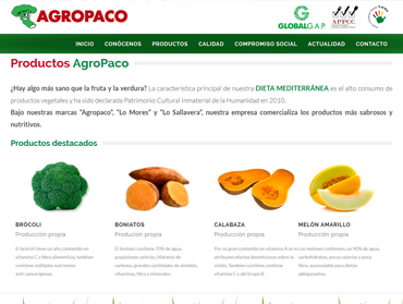 diseño web en murcia